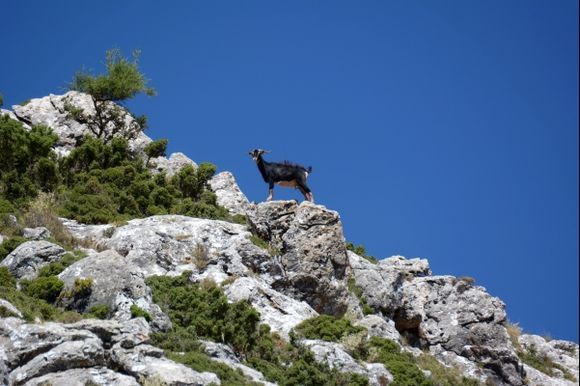 Kefalonia