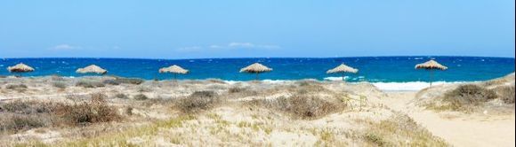 Beach Umbrellas