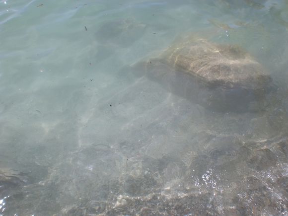 Another picture of Tsigrado ... the water is so clean and transparent!!!