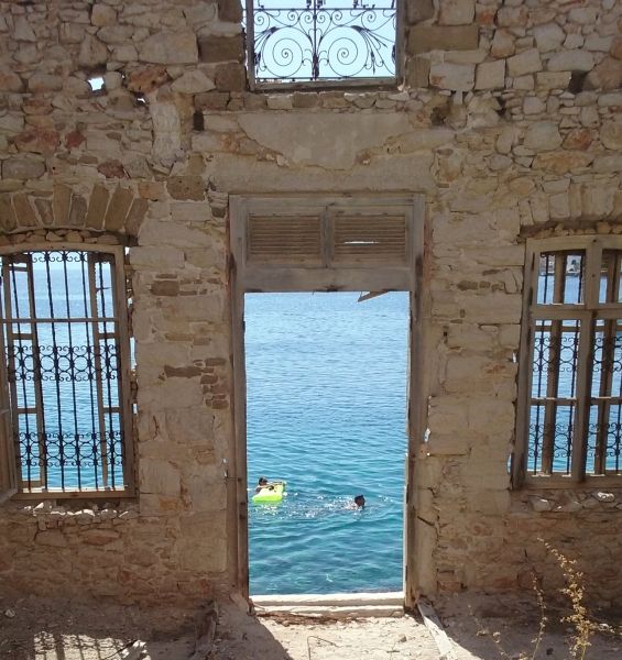 Halki swimming in front of an old house