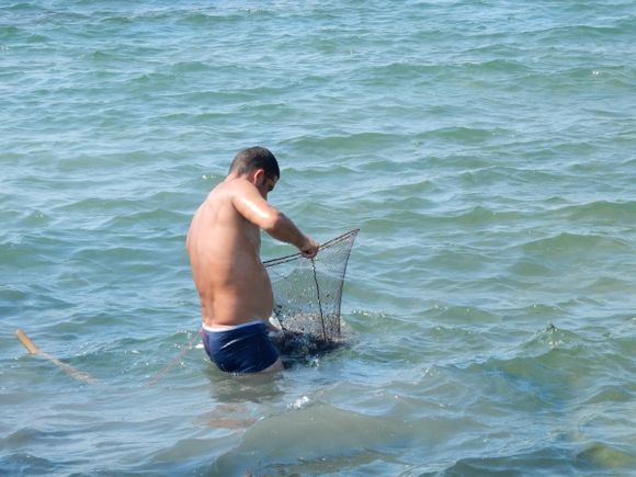 Bosset Bridge fishermen looking for sea urchins