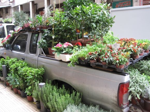 I didn\'t know plants grew on trucks!