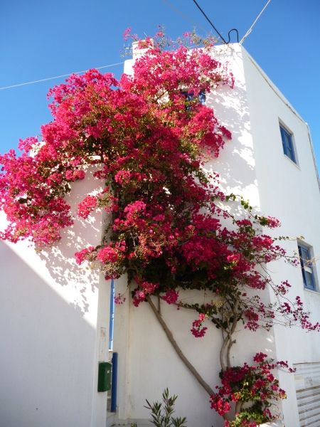 Naxos Town out of the tourist zone offers just as much to see.