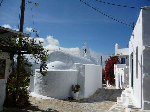 The beautiful white church and vibrant bougainvillea made a classic scene!