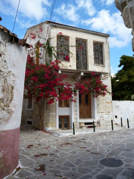 Halki. How much better can it get. A classic Greek home with bourganvillia caressing the walls.