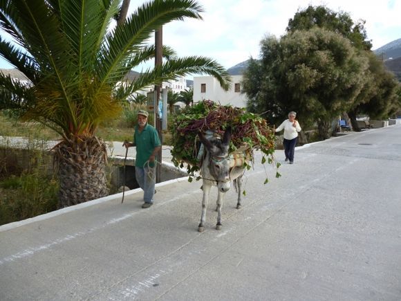 They still use donkeys on Amorgos!