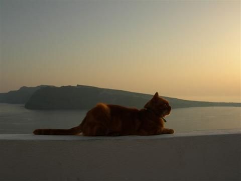 Oia, SantoriniOia, 