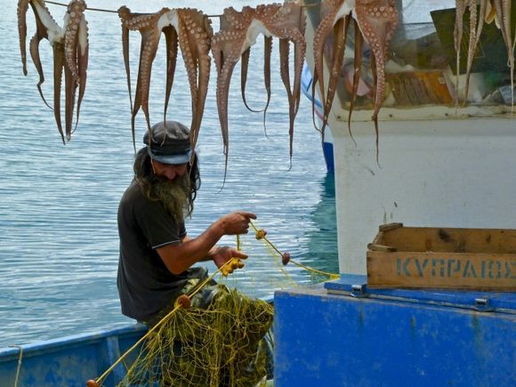 The fisherman of octopuses in Pythagorio arbour