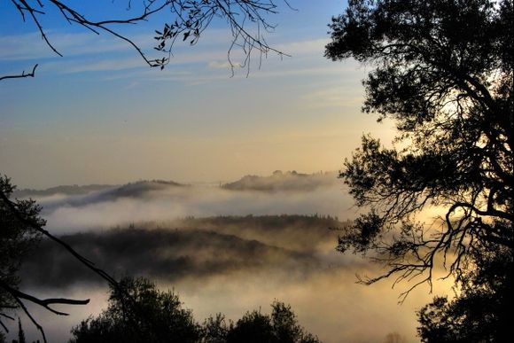 foggy morning seen from Pelekas village