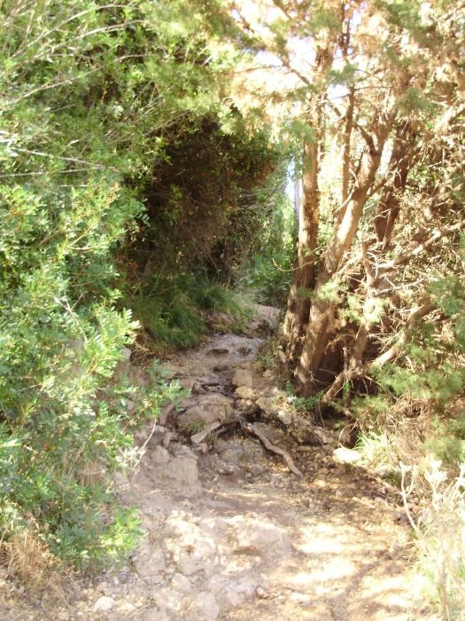path to Milos Beach