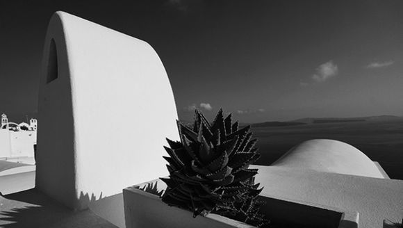 black & white oia