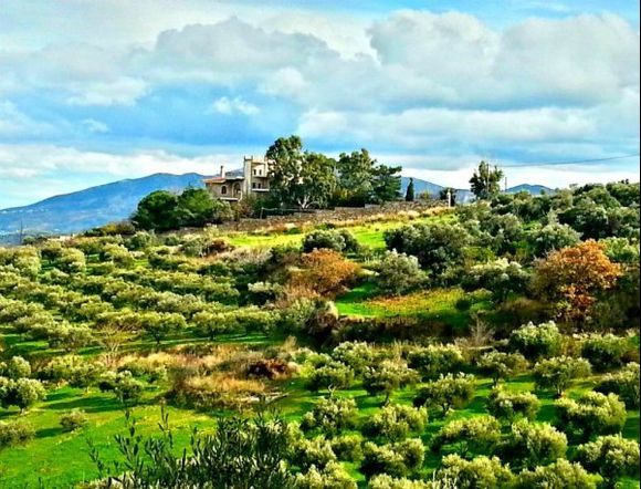 When we first moved into the Cretan countryside, this house, crowning the top of a beautifully landscaped hill, reminded me of a magical, medieval castle. It certainly has motivated me to climb its somewhat steep incline, on many occasions, just to get a closer look!