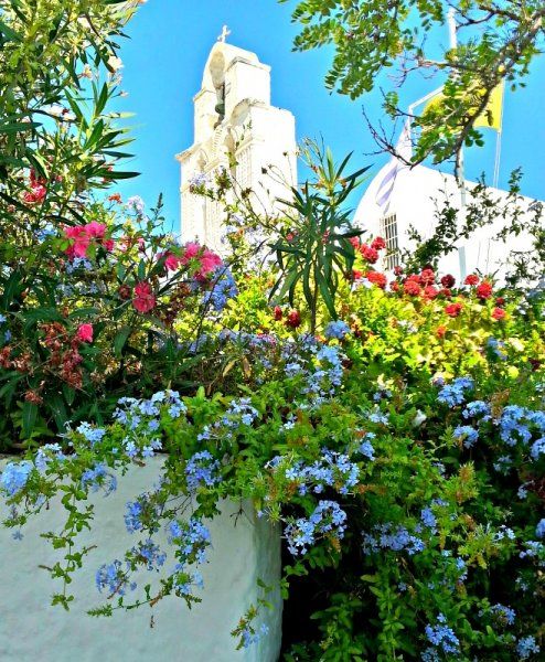 A beautiful rainbow composed of a multitude of pretty flowers flanks the white washed walls surrounding a church in Adamantas, Milos.