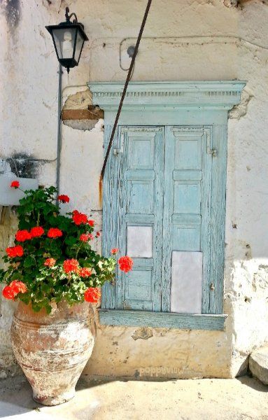Contrasting colours always catch my attention! Poppy red geraniums against shutters in powdery blue beckoned me to stop and snap this duo, on my walk in the village of Kritsa, Crete.