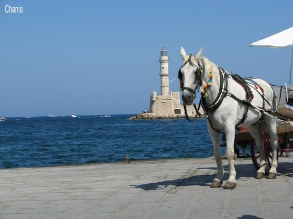 Does the horse really bigger than the tower in Chania?