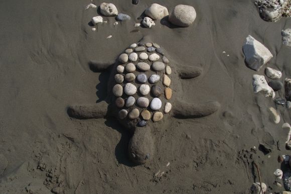 Turtle from sand