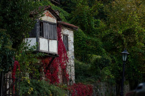 Colorful autumn in the village on Mount Olympus, 
Palaios Pantileimonas