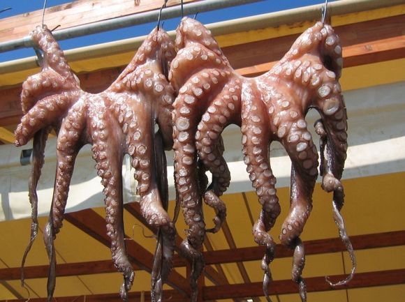 Monemvasia: Drying Octopus
